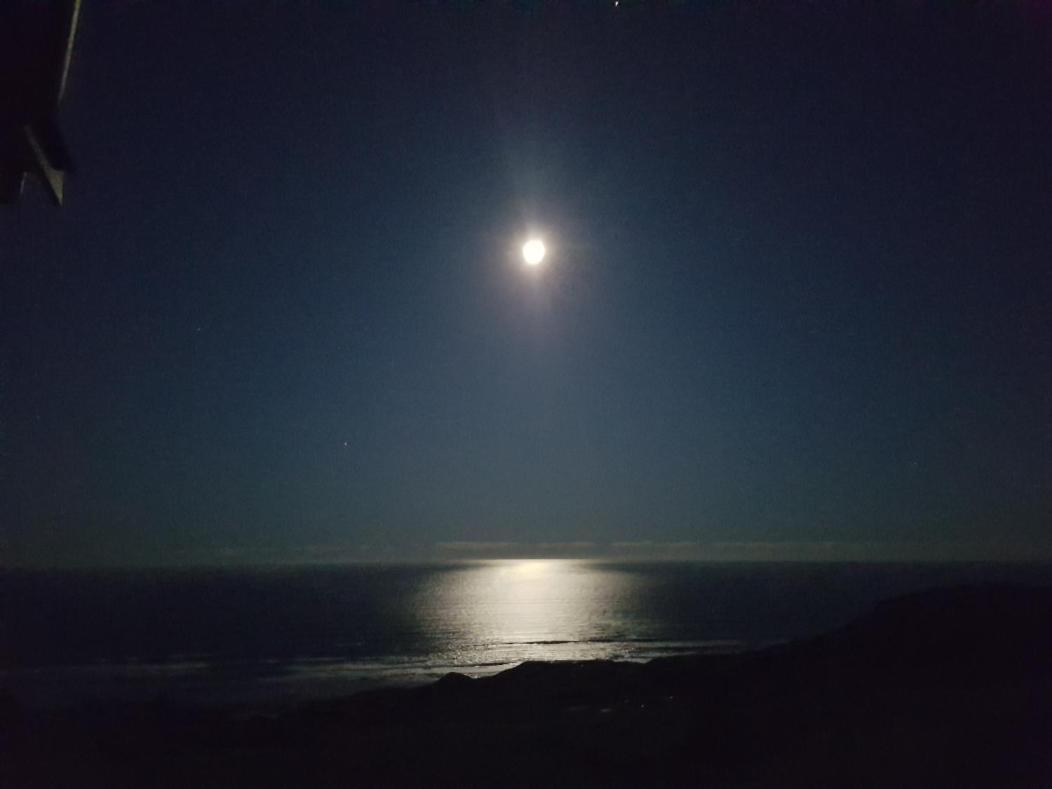 Seaview Retreat -Amazing Ocean Views And Outdoor Bath Villa Waiuku Eksteriør bilde